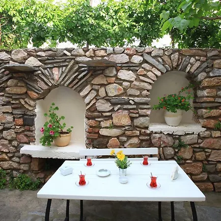 Albatros Αλικαρνασσός